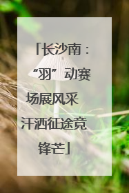 长沙南：“羽”动赛场展风采 汗洒征途竞锋芒