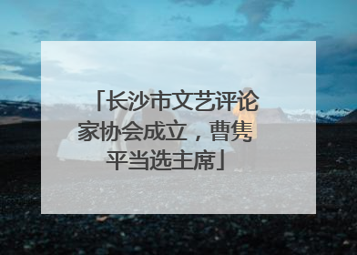 长沙市文艺评论家协会成立，曹隽平当选主席