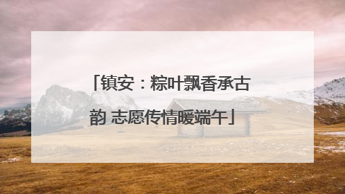 镇安：粽叶飘香承古韵 志愿传情暖端午