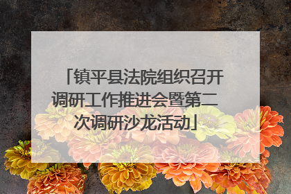 镇平县法院组织召开调研工作推进会暨第二次调研沙龙活动