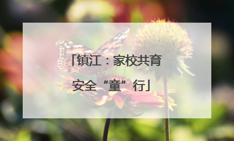 镇江：家校共育 安全“童”行