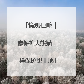 镜观·回响｜像保护大熊猫一样保护黑土地