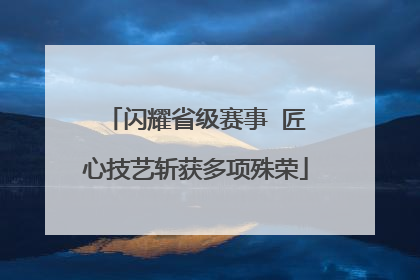 闪耀省级赛事  匠心技艺斩获多项殊荣