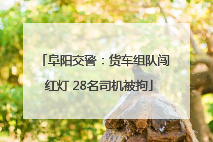 阜阳交警：货车组队闯红灯 28名司机被拘