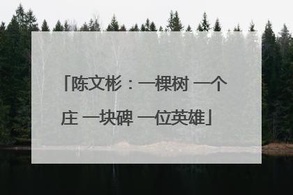 陈文彬：一棵树 一个庄 一块碑 一位英雄