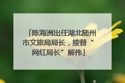 陈海洲出任湖北随州市文旅局局长，接替“网红局长”解伟