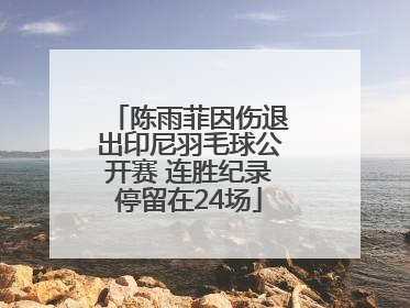 陈雨菲因伤退出印尼羽毛球公开赛 连胜纪录停留在24场