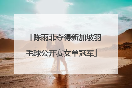 陈雨菲夺得新加坡羽毛球公开赛女单冠军