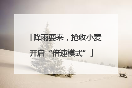 降雨要来，抢收小麦开启“倍速模式”