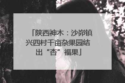 陕西神木：沙峁镇兴四村千亩杂果园结出“杏”福果