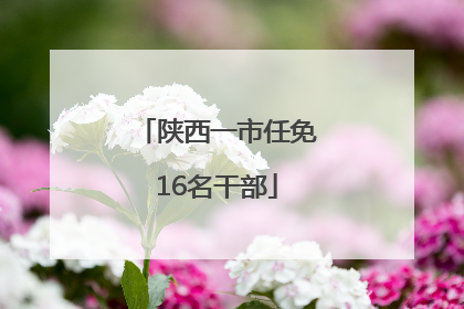 陕西一市任免16名干部
