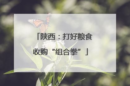 陕西：打好粮食收购“组合拳”