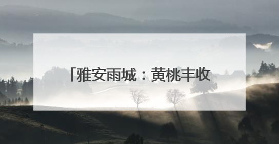 雅安雨城：黄桃丰收 邀您来采摘和品尝