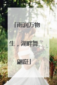 雨润万物生，湖畔舞翩跹