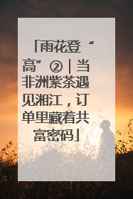 雨花登“高”②｜当非洲紫茶遇见湘江，订单里藏着共富密码