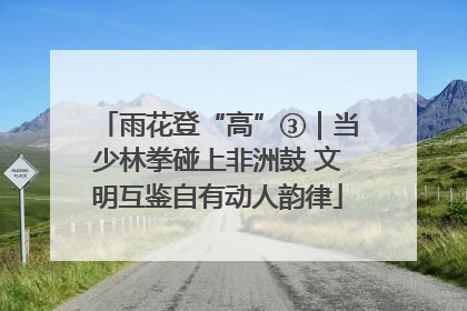 雨花登“高”③｜当少林拳碰上非洲鼓 文明互鉴自有动人韵律