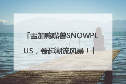 雪加鸭嘴兽SNOWPLUS，卷起潮流风暴！