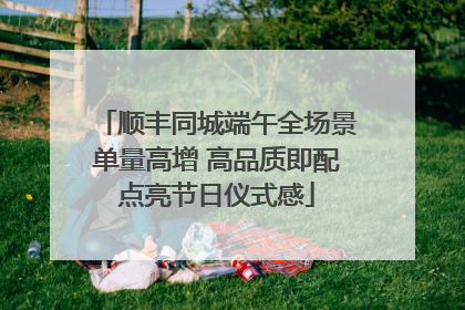 顺丰同城端午全场景单量高增 高品质即配点亮节日仪式感