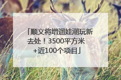 顺义将增遛娃潮玩新去处！3500平方米+近100个项目