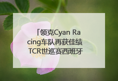 领克Cyan Racing车队再获佳绩 TCR世巡赛西班牙站包揽六座奖杯