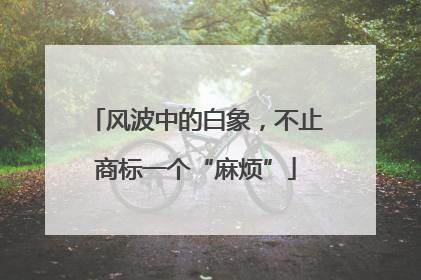 风波中的白象，不止商标一个“麻烦”