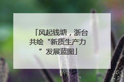 风起钱塘，浙台共绘“新质生产力”发展蓝图