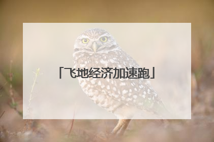 飞地经济加速跑