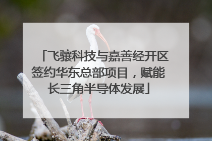 飞骧科技与嘉善经开区签约华东总部项目，赋能长三角半导体发展