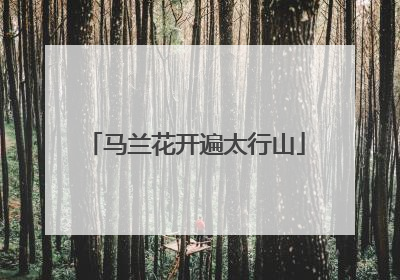 马兰花开遍太行山