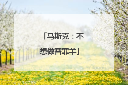 马斯克：不想做替罪羊