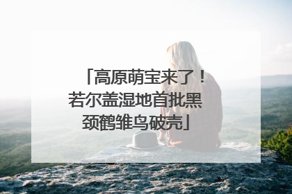 高原萌宝来了！若尔盖湿地首批黑颈鹤雏鸟破壳