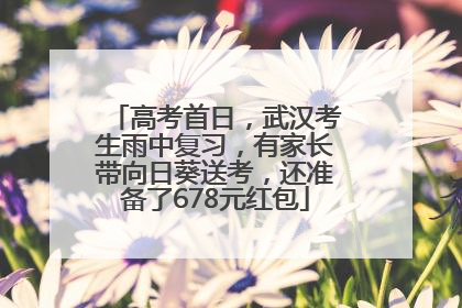 高考首日，武汉考生雨中复习，有家长带向日葵送考，还准备了678元红包