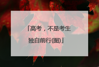 高考，不是考生独自前行(图)