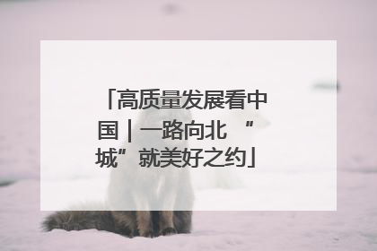 高质量发展看中国｜一路向北 “城”就美好之约