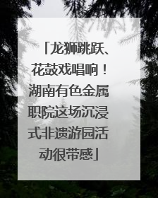 龙狮跳跃、花鼓戏唱响！湖南有色金属职院这场沉浸式非遗游园活动很带感