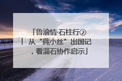 鲁渝情·石柱行② ︳从“莼小丝”出国记，看淄石协作启示