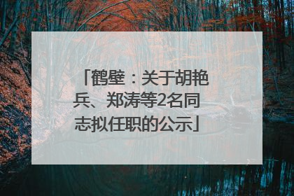 鹤壁：关于胡艳兵、郑涛等2名同志拟任职的公示