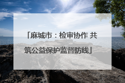 麻城市：检审协作 共筑公益保护监督防线