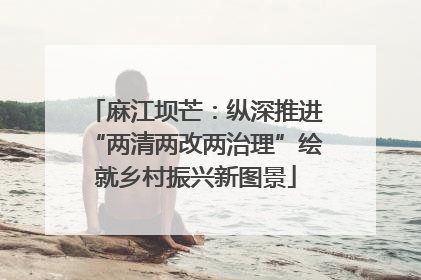 麻江坝芒：纵深推进“两清两改两治理”绘就乡村振兴新图景