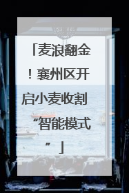 麦浪翻金！襄州区开启小麦收割“智能模式”