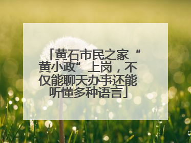 黄石市民之家“黄小政”上岗，不仅能聊天办事还能听懂多种语言