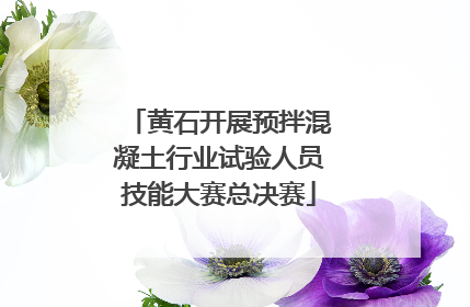 黄石开展预拌混凝土行业试验人员技能大赛总决赛