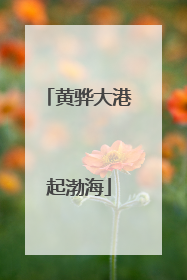 黄骅大港起渤海