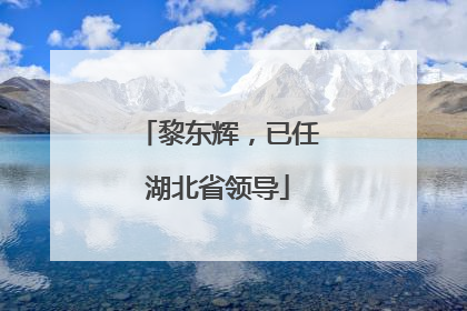 黎东辉，已任湖北省领导
