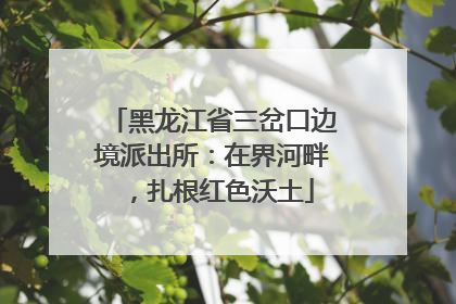 黑龙江省三岔口边境派出所：在界河畔，扎根红色沃土