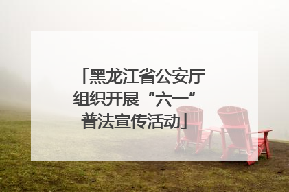 黑龙江省公安厅组织开展“六一”普法宣传活动