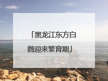 黑龙江东方白鹳迎来繁育期