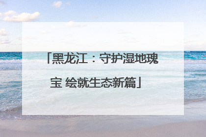 黑龙江：守护湿地瑰宝 绘就生态新篇