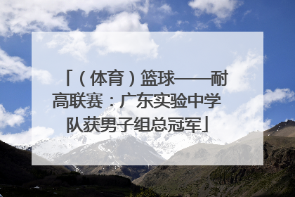 （体育）篮球——耐高联赛：广东实验中学队获男子组总冠军