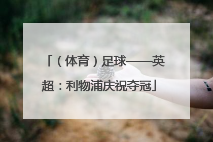 （体育）足球——英超：利物浦庆祝夺冠